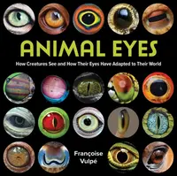 Animal Eyes - Francoise Vulpe