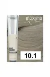 Maxima Professional Hair Color PLEX 10.1 - farba na vlasy 100 ml - Super svetlý blond popol