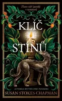 Klíč stínů - Susan Stokes-Chapman