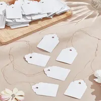 170Pcs PVC Plant Labels