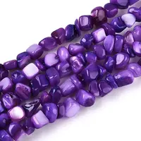 Natural Freshwater Shell Beads Strands