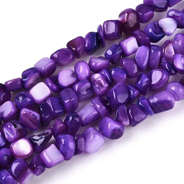Natural Freshwater Shell Beads Strands