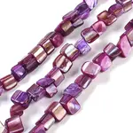 Dyed Natural Freshwater Shell Beads Strands