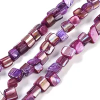 Dyed Natural Freshwater Shell Beads Strands
