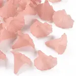 Transparent Acrylic Beads