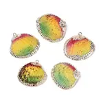 Spray Paint & Electroplate Natural Sea Shell Pendants