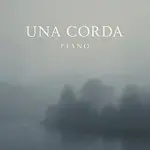 Zdeněk Král – Una Corda