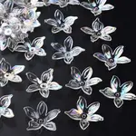 Transparent Acrylic Beads