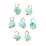 Dyed Natural Freshwater Shell Nuggets Charms