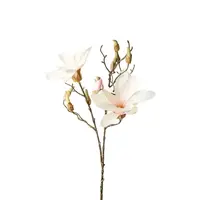 MAGNOLIE 85 cm