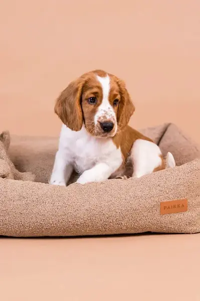 Pelíšek pro mazlíčka PAIKKA Bouclé 95 x 75 x 20 cm