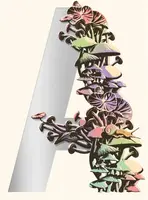 Ambergris - Jeff VanderMeer