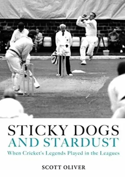 Sticky Dogs and Stardust - Scott Oliver