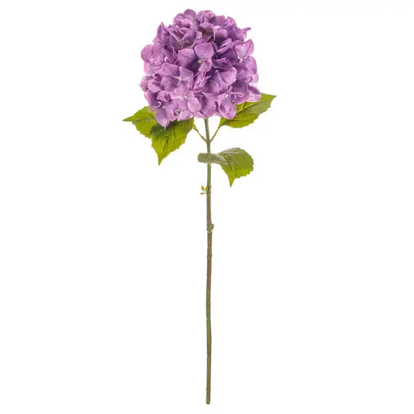 DEKORAČNÍ KVĚTINA