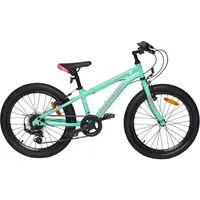 Arcore BRISK 20 Juniorské 20&quot; kolo, tyrkysová, velikost