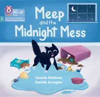 Meep and the Midnight Mess - Tarnelia Matthews