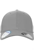 110 Flexfit Pro-Formance grey