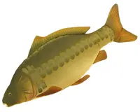 Ngt polštář kapr 70 cm