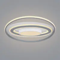 Stropné svietidlo LED 48016-60 CCT 3000-6000K D57