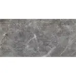 Visine Grey Gloss 59,8/119,8