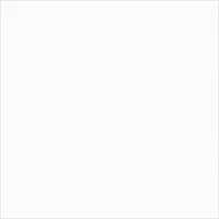 Monolook White Lappato 59,8/59,8