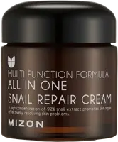 MIZON All In One Snail Repair, krém na vrásky a problematickou pleť 75 ml