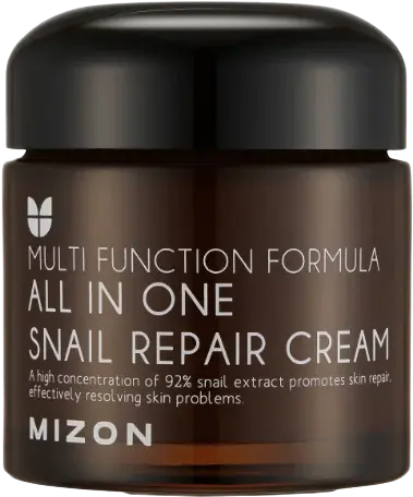 MIZON All In One Snail Repair, krém na vrásky a problematickou pleť 75 ml