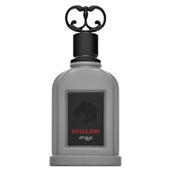 Zimaya Stallion parfémovaná voda pro muže 100 ml