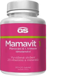 GS Mamavit 1 Plánování a 1. trimestr 110 tablet