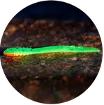 Redbass gumová nástraha micro tail fluo green rh uv color - s 48 mm