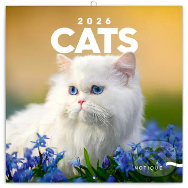 NOTIQUE Nástenný poznámkový kalendár Cats (Mačky) 2026