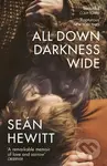 All Down Darkness Wide (A Memoir) - Seán Hewitt - kniha z kategorie Společenská beletrie