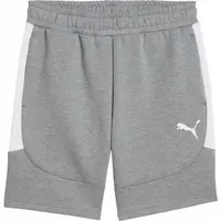 Puma TEAMEVOSTRIPE SHORTS Pánske šortky, sivá, veľkosť