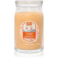 Yankee Candle Slopeside Spritz vonná sviečka Signature 567 g