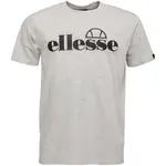 ELLESSE FUENTI TEE Pánské tričko, šedá, velikost