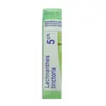 BOIRON Lachnanthes tinctoria CH5 4 g
