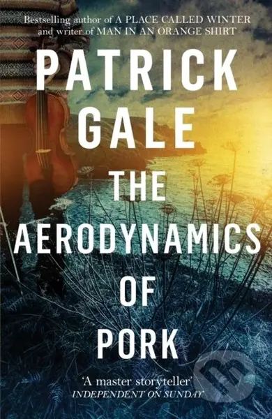The Aerodynamics of Pork (A delicious debut novel of love, music and comedy, set in the early 1980s) - kniha z kategorie Společenská beletrie