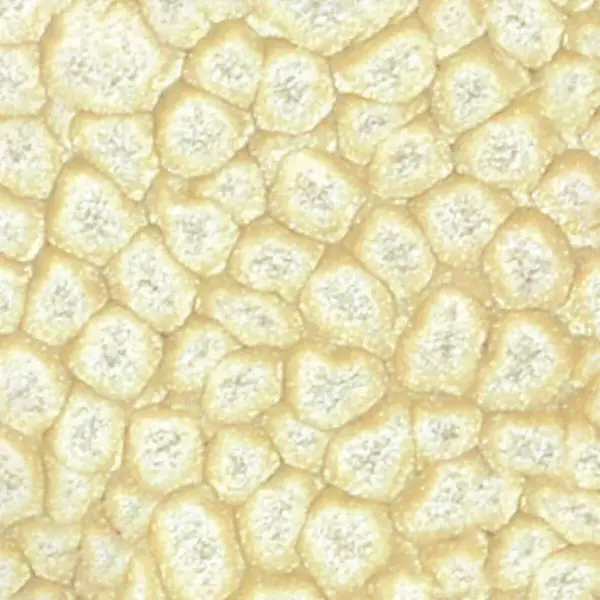 Barva Pébéo Fantasy Prisme 45ml – 20 Eggshell white