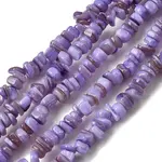 Natural Freshwater Shell Beads