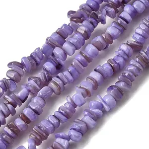 Natural Freshwater Shell Beads