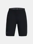 Boys' shorts Under Armour UA Vanish Shorts - Boys