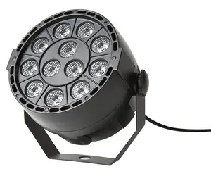 Fractal PAR LED 12x3W