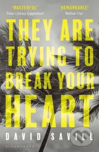 They are Trying to Break Your Heart - David Savill - kniha z kategorie Společenská beletrie
