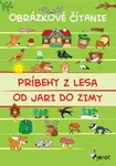 Príbehy z lesa od jari do zimy - Vendula Hegerová, Alena Schejbalová