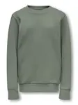 Only & Sons Junior Mikina 'OSJCeres'  svetlozelená