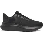 Men's shoes Under Armour Charged Rogue 5