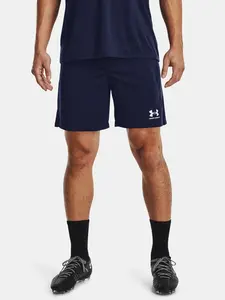 Pánské kraťasy Under Armour
