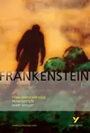 Frankenstein: York Notes GCSE - for 2026, 2027 exams - Mary W. Shelley, Alex Fairburn