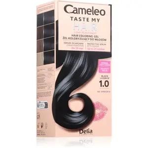 Delia Cosmetics Cameleo Taste My Hair semipermanentná farba na vlasy odtieň 1 ks