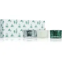 Paddywax Cypress & Fir dárková sada